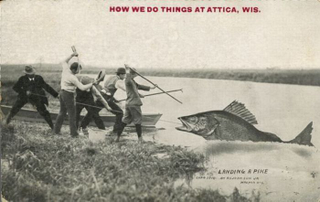 Illustration for article titled Tall Tale Fishing Postcards, The Ultimate Humblebrag Of The Early 1900s